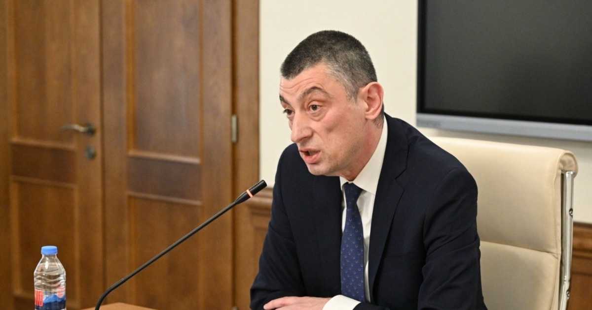 გიორგი გახარიას დისტანციურად გამოკითხვას საგამოძიებო კომისია დათანხმდა