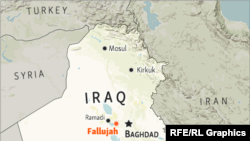 Infoqrafika. Fallujah, İraq