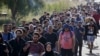 Mijëra emigrantë arrijnë në Austri