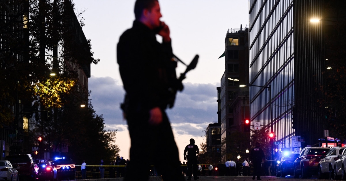 US Halts Afghan Immigration Requests After D.C. Shooting