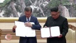 د سېپټمبر ۱۹مې ويډيويي خبرونه