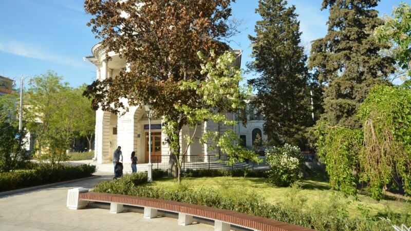 Севастополь: власти потратят более 7 млн рублей на контроль за деревьями 