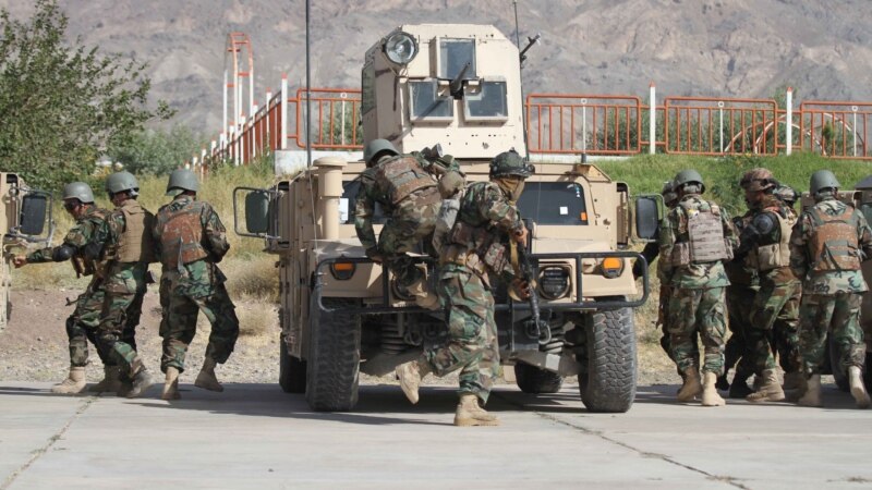 چارواکي: په کندهار کې ۳۷ وسله‌وال طالبان ووژل شول