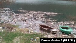 najzagađenija mesta na obali Lima će biti očišćena zatvaranjem divljih deponija (Foto: Potpećko jezero na reci Lim kod Pribojske banje)