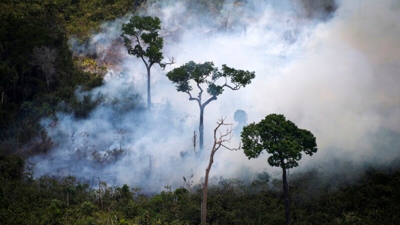 Liderët e shteteve të A.Jugore do të diskutojnë për zjarret në Amazonë