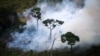 Požari u Amazonu: 'Zločin protiv čovječnosti' podstaknut vladom