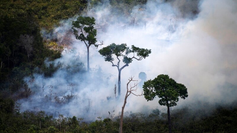 Shpyllëzimi i Amazonës në Brazil arrin  nivelin më të lartë në 12 vjet