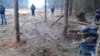 Жители Жуковского и экологи борются за Цаговский лес