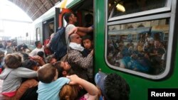 Будапештегі Келети теміржол станциясында пойызға жанталаса мініп жатқан мигранттар. Венгрия, 3 қыркүйек 2015 жыл.