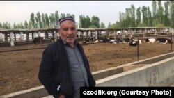 "To‘lqin Dang‘ara ravnaqi" chorvachilik fermer xo‘jaligi rahbari Murodjon Mamadaliev
