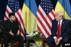 Отношения между Владимиром Зеленским и Дональдом Трампом развивались непросто