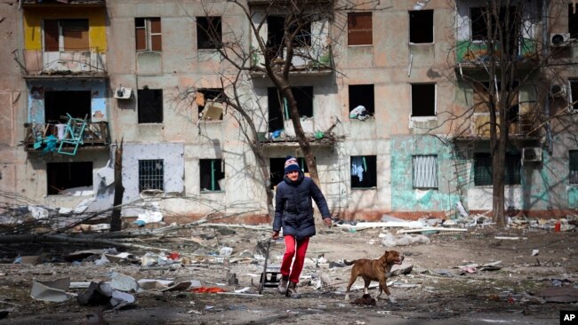 A man walks with his dog near an apartment building damaged by shelling from fighting on the outskirts of Mariupol in southern Ukraine. 