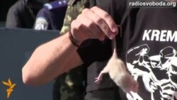 Активісти продовжили виганяти щурів із Кабміну