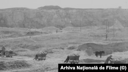 Persoane filmate în timp ce cară piatra cu vagonete pe șine la Canalul Dunăre-Marea Neagră, perioada 1950-1952.