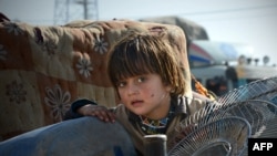 له باړې څخه د بې کوره کورنۍ یوه ماشومه په ګاډي کې ناسته ده - د ۲۰۱۴ز کال د نومبر ۱۴مې انځور.