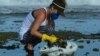Очистка пляжа в Бразилии после разлива нефти