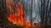 Відомство нагадує, що за спалювання сухої рослинності для громадян передбачені штрафи від 3 060 до 6 120 гривень, для посадовців – до 30 600 гривень (ілюстраційне фото)