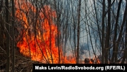 Відомство нагадує, що за спалювання сухої рослинності для громадян передбачені штрафи від 3 060 до 6 120 гривень, для посадовців – до 30 600 гривень (ілюстраційне фото)