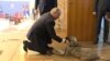 Predsednik Rusije Vladimir Putin sa psom koji je dobio na poklon od predsednika Srbije Aleksandra Vučića