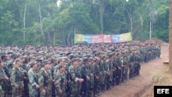 Тренировочный лагерь FARC в сельве
