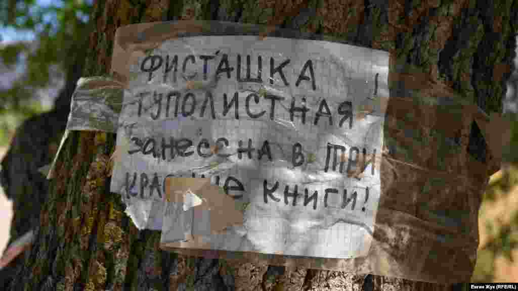 Такі ж таблички можна побачити і на багатьох інших фісташках