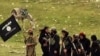 جنگل باغ: گروه داعش فعالیت اش را در کندز آغاز کرده است