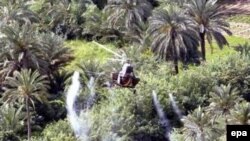 Iraq - A Soviet-era helicopter sprays pesticides over the date palm trees near Najaf in Iraq, 12 May 2006