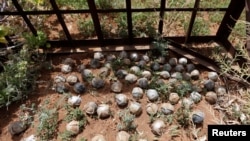 Cluster bomblets in southern Syria in 2016.