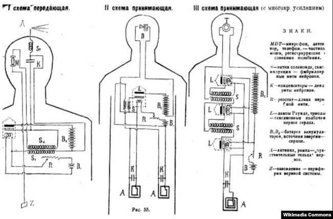Схема "устройства Кажинского", где организм уподоблен радиоэлектрическому прибору: сердце – аккумулятору, "чувствительные тельца" нервов – антенне, нервные волокна – индуктору, периферия нервной системы – заземлению.