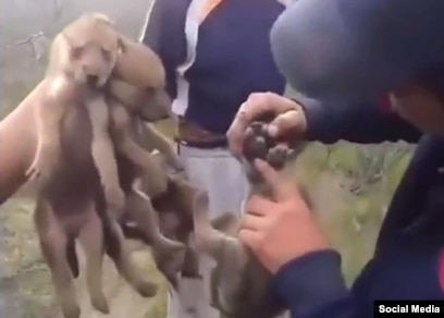 Шашты қынап порно журналы