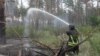Пожежу в замінованому лісі в Луганській області повністю загасили – ДСНС