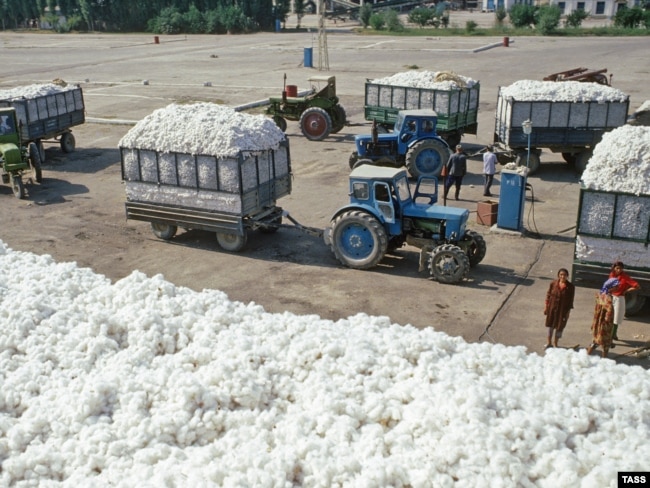 Пахта заводи¸ 1978 йил октябр
