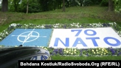 Учасники відзначення 70-річчя НАТО також відкрили квіткові композиції (клумби), які з нагоди ювілею Альянсу висадило комунальне підприємство «Київзеленбуд» на Європейській площі Києва