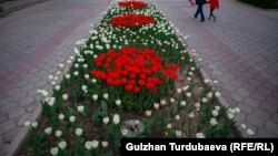 Kyrgyzstan - Bishkek - tulips, flowers, Ala-Too Square, Kurmanjan Datka Square