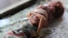 Камчатка: младенца госпитализировали со следами побоев