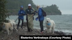 Волонтеры с собаками на берегу Байкала во время экологической операции