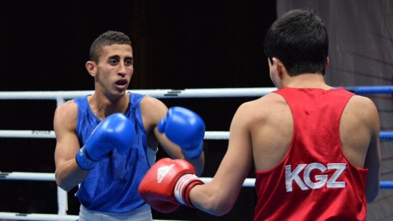 Бишкекте бокс боюнча өлкө чемпионаты башталды