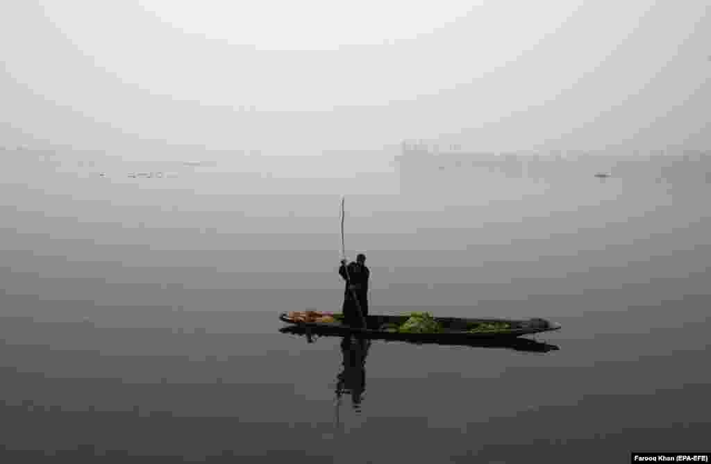 Лодачнік выцягвае водарасьці з возера ў індыйскай частцы Кашміру