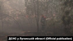 Так горіли ліси Луганщини влітку 2020-го