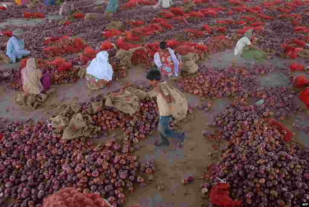 An Indian child carries a bag of of sub-standard onions as workers sort out bulbs at a wholesale vegetable market in Jalandhar. (AFP/Shammi Mehra)&nbsp;