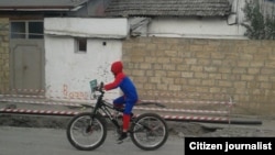 Qubada spiderman peyda olubYükləyib: Ismi lazim deyil