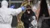 "Черный лебедь" для России: коронавирус сорвет планы власти? 