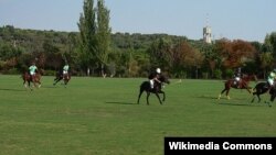 Polo, ilustrativna fotografija