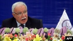 Riyad al-Maliki