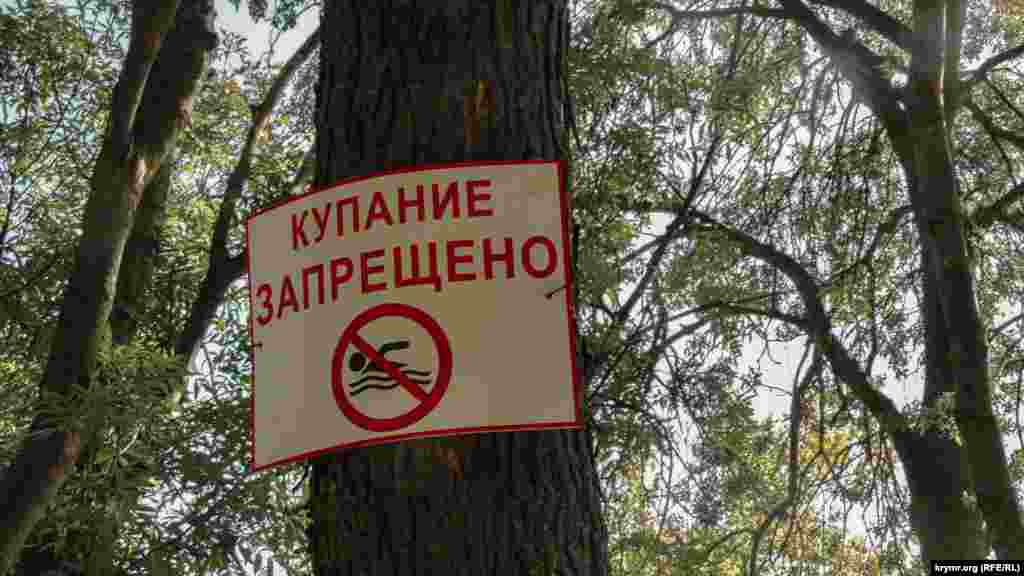 Таблички предупреждают, что купаться на когда-то самом популярном в городе пляже теперь запрещено