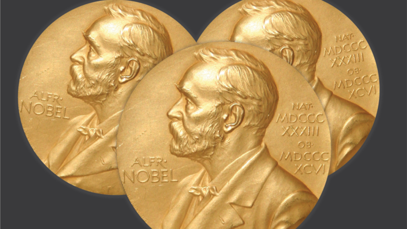 Këtë vit nuk ndahet Çmimi Nobel për Letërsi 