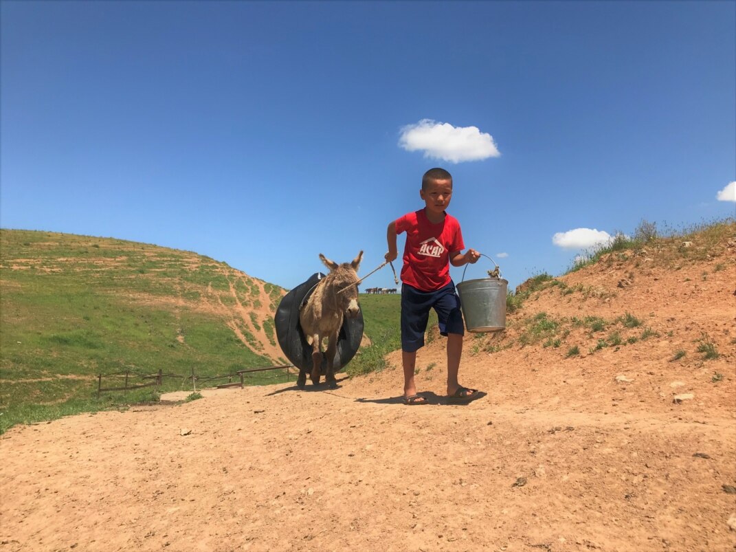 Порно мақалалар мен әңгімелер