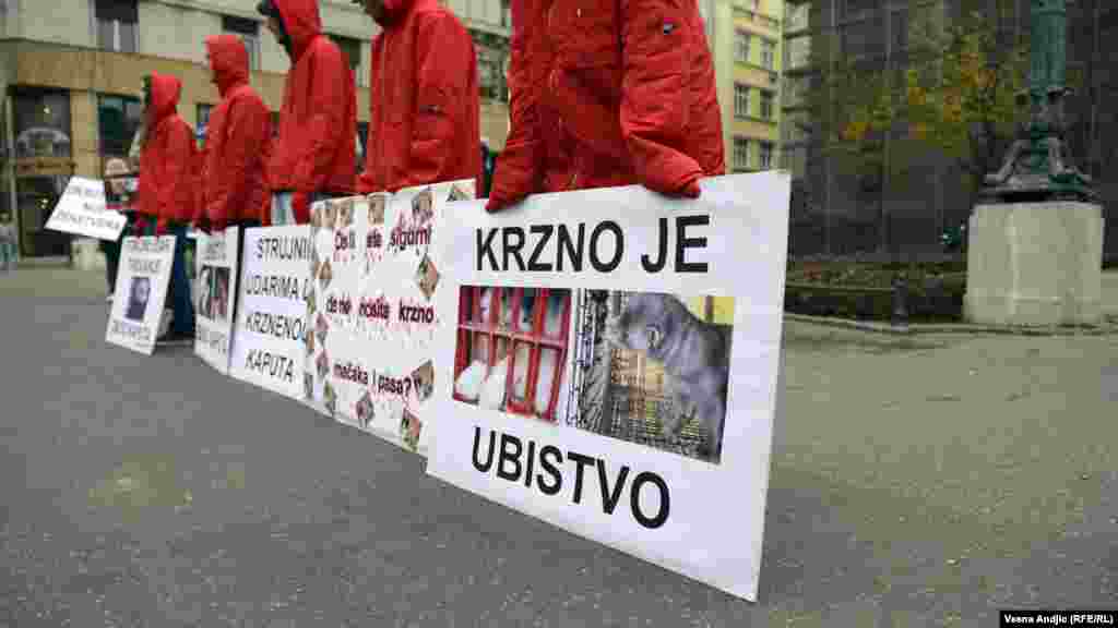 Serbia - Performance against the killing of animals, Belgrade, 23Nov 2012.
