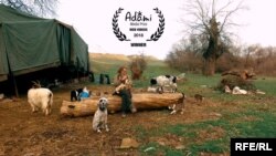 RFE/RL’s Anastasia Slovinskaya’s video Goran’s Rules Of Life won Best Web Video at the 2018 ADAMI Media Prize for Cultural Diversity in Eastern Europe.
