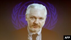 Julian Assange 